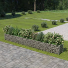 Gabion plantenbak van gegalvaniseerd staal voor tuin en terras - 450 x 50 x 50 cm / 1 - Bloempotten & plantenbakken