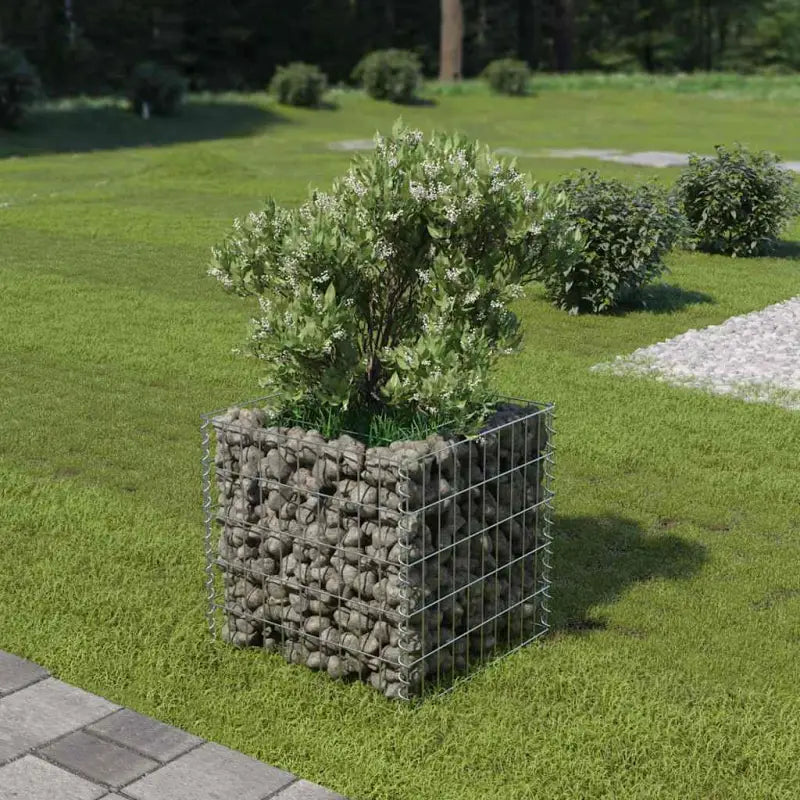 Gabion plantenbak van gegalvaniseerd staal voor tuin en terras - 50 x 50 x 50 cm / 1 - Bloempotten & plantenbakken