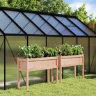 Houten bloempotten en plantenbakken van massief douglashout - Natuurlijk douglashout / 2 - Bloempotten & plantenbakken