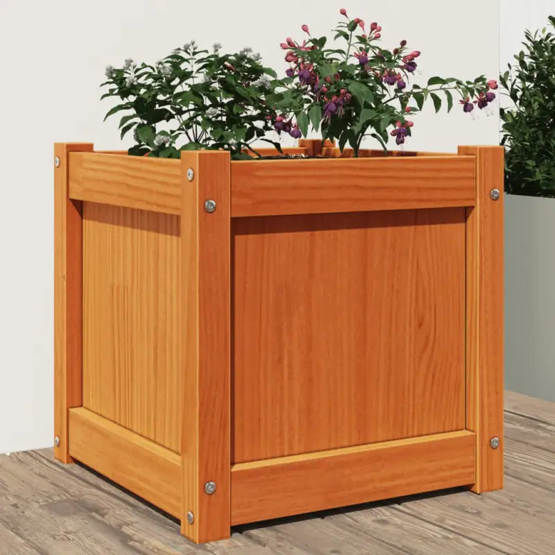 Houten plantenbak van massief grenenhout voor tuin en balkon - Bruingrenen / 1 - Bloempotten & plantenbakken