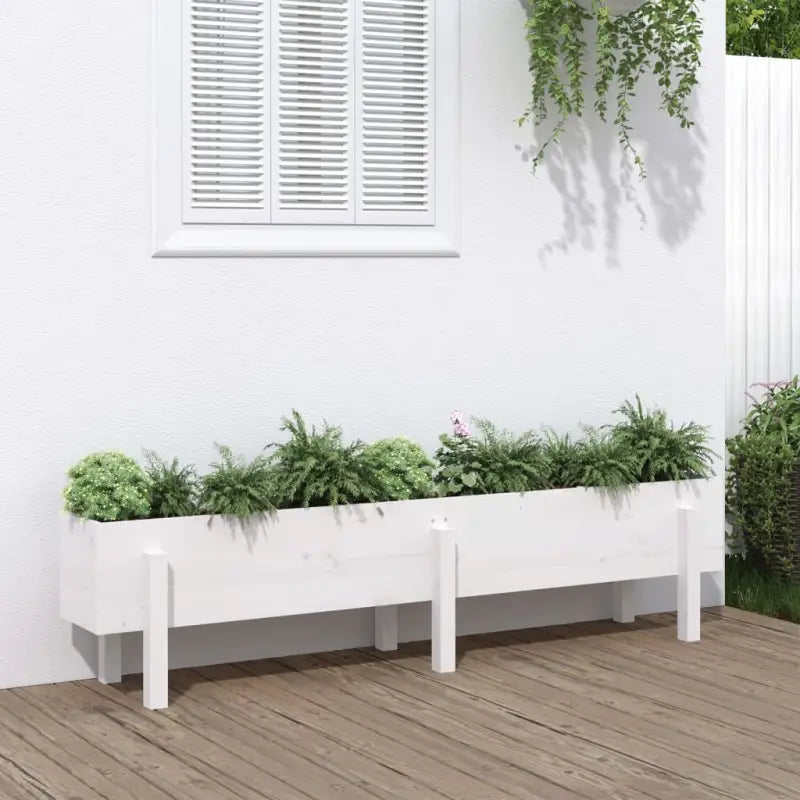 Houten plantenbak van massief grenenhout voor tuin en balkon - Wit grenenhout / 160 x 30 x 38 cm / 1 - Bloempotten &