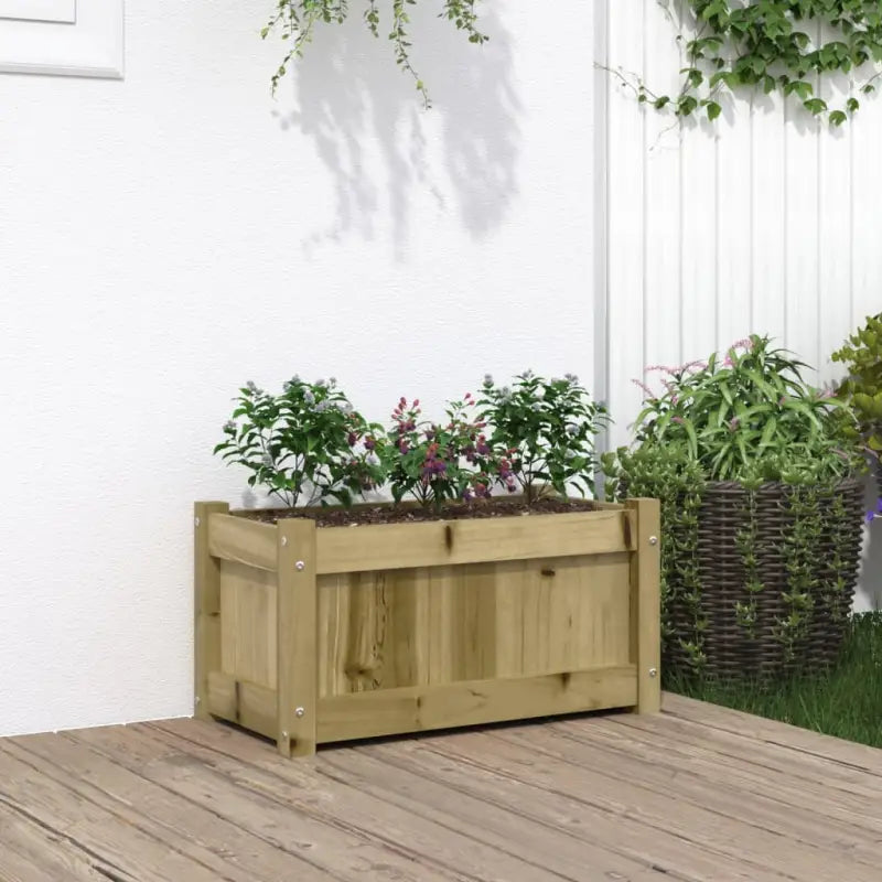 Houten plantenbakken van geïmpregneerd grenenhout voor tuin en balkon - Naturel geïmpregneerd / 1 - Bloempotten &
