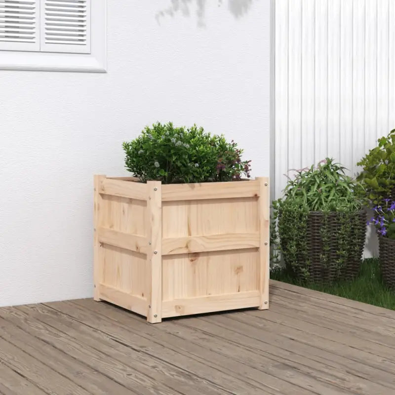 Houten plantenbakken van massief grenenhout voor tuin en balkon decoratie - Natuurlijk grenenhout / 1 - Bloempotten &