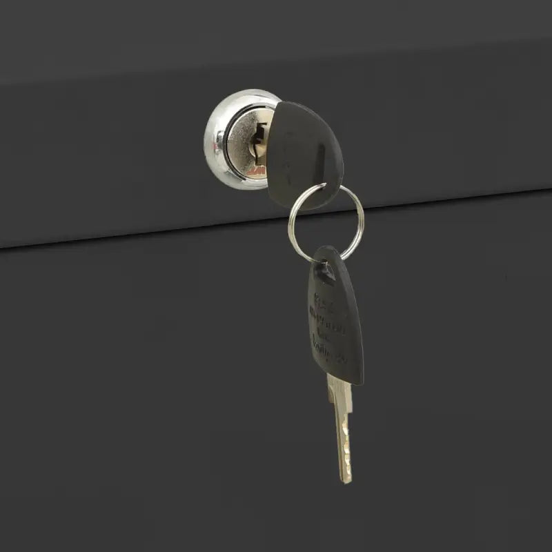 Moderne stalen archiefkast voor documentenopslag - Archiefkasten