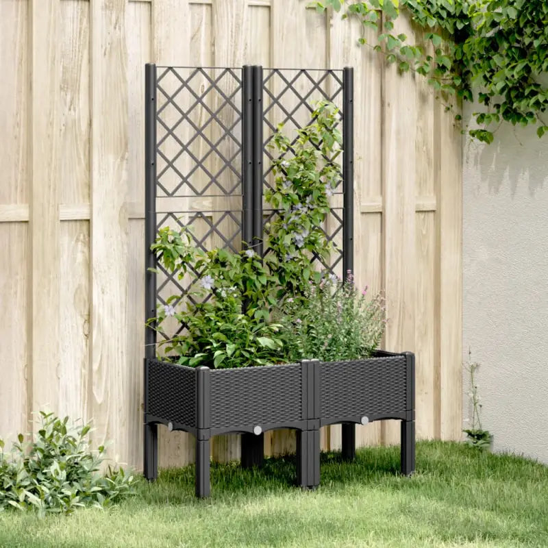 Plantenbak met latwerk voor klimplanten in tuin of op terras - Zwart / 80 x 40 x 142 cm / 1 - Bloempotten &
