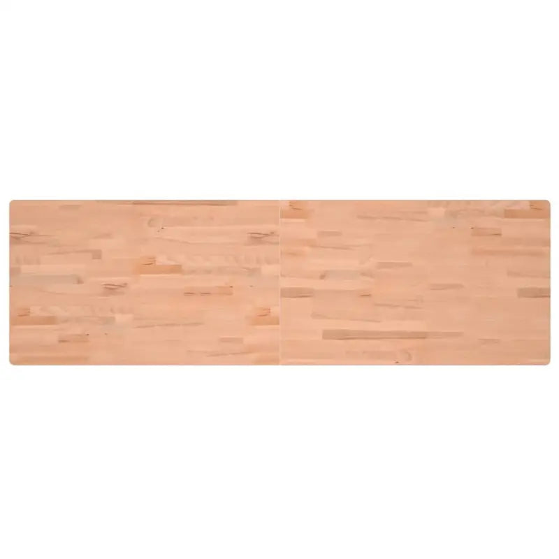 Werkbank met massief beukenhout en groot werkgebied voor doe-het-zelf projecten - Werkbanken