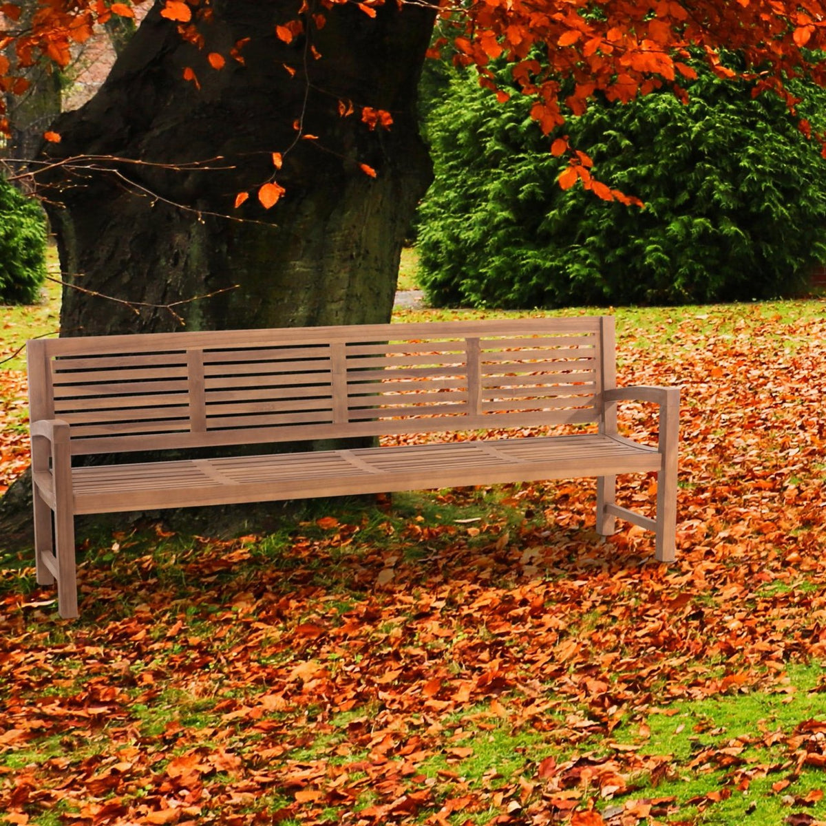 Teakbank Halden teak,240 cm teak