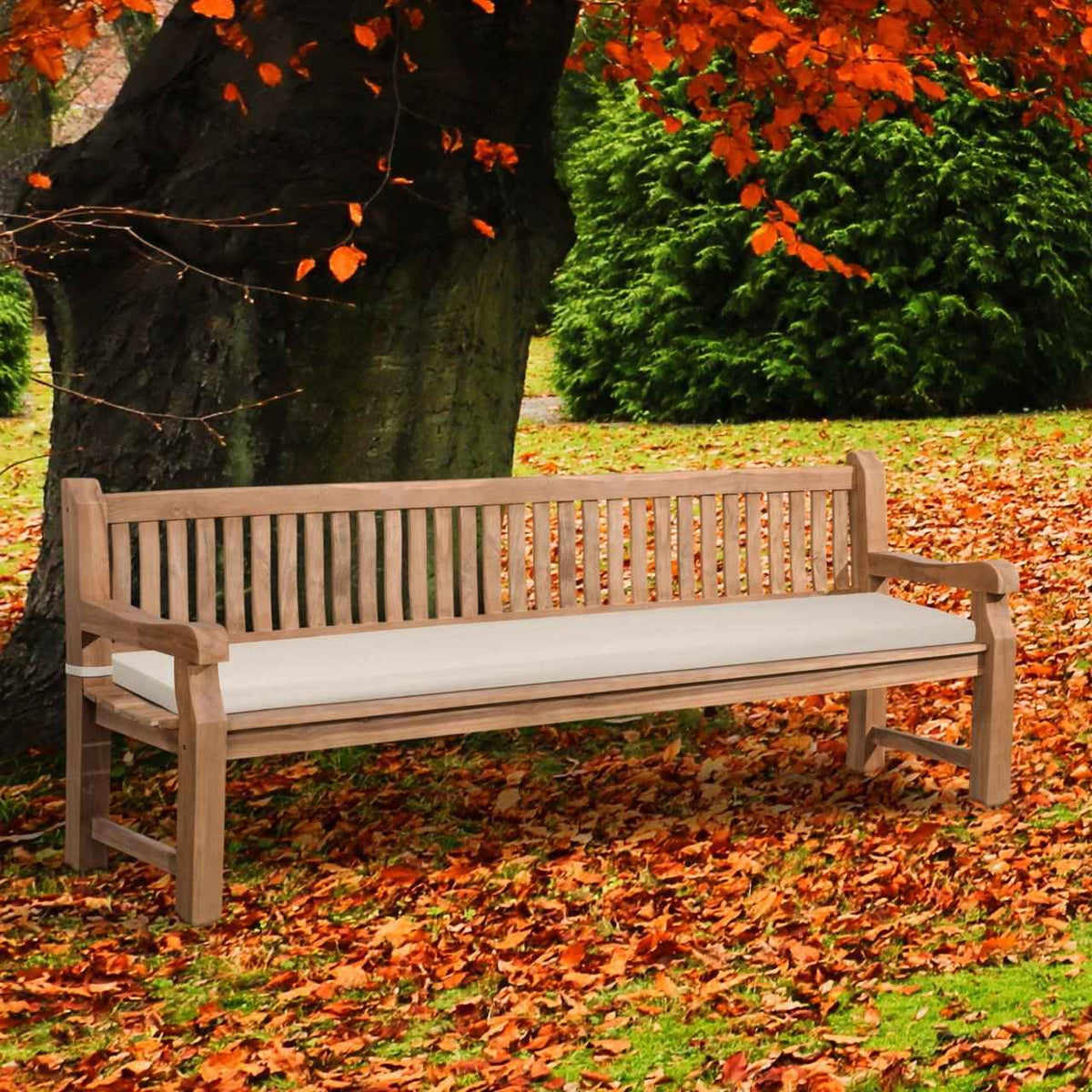 Teakbank Daxon mit Sitzkissen 240 cm creme