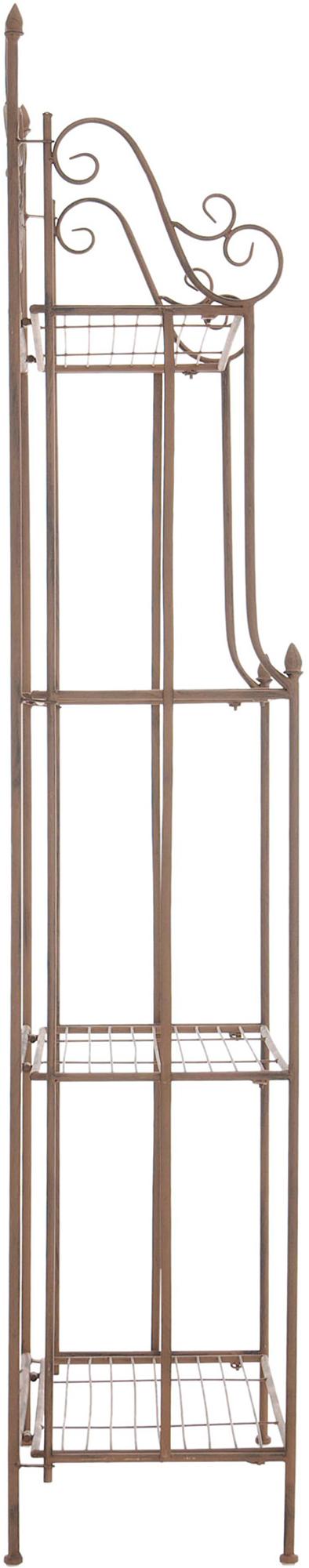 Plantenrek Flora antiek bruin antik braun