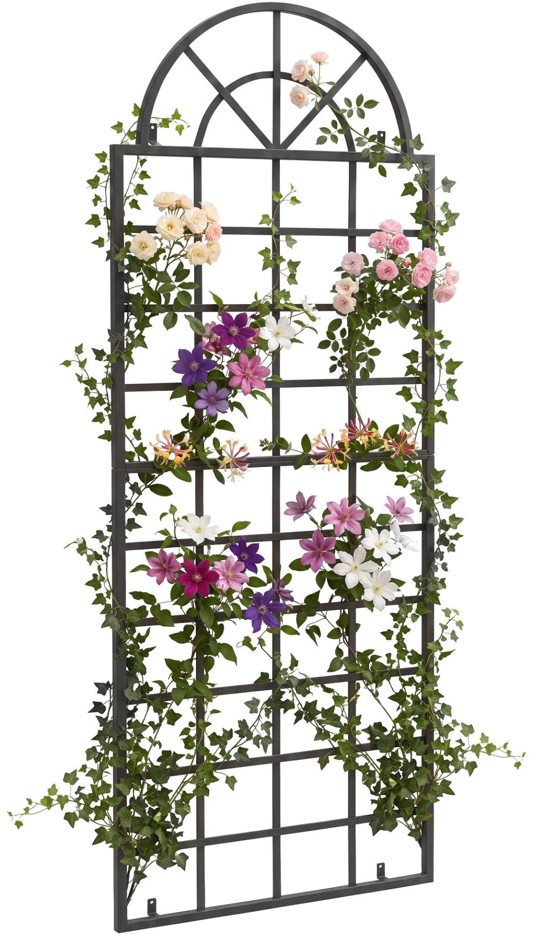 Plantenrek Viva voor aan de muur antraciet anthrazit