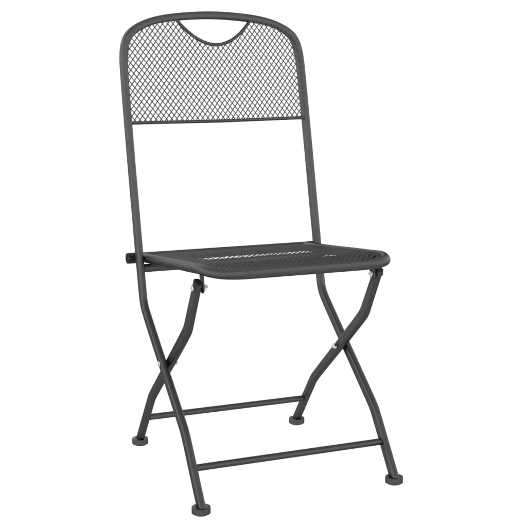 vidaXL Tuinstoelen inklapbaar 2 st metaalgaas antracietkleurig - Aashly