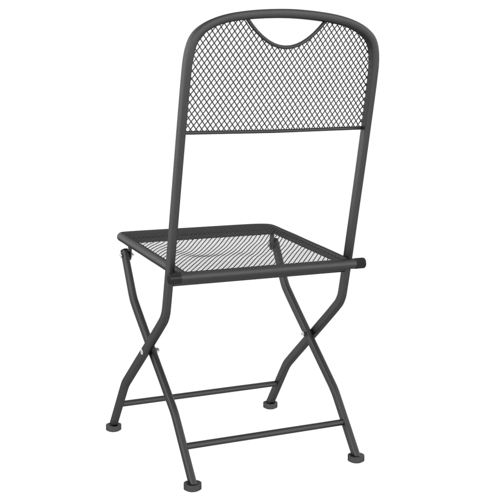 vidaXL Tuinstoelen inklapbaar 2 st metaalgaas antracietkleurig - Aashly