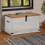 vidaXL Opbergkist HALDEN zwart 91x48x47 cm massief grenenhout - Aashly