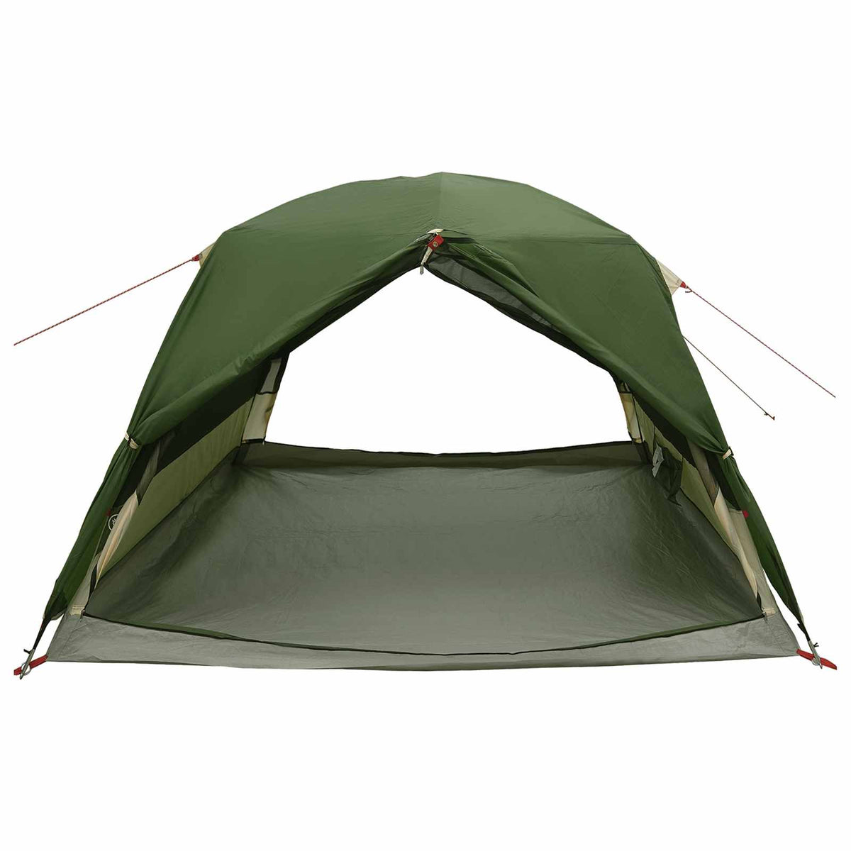 vidaXL Backpacking Tent Groen 2-persoons 185T Polyester met PU Coating