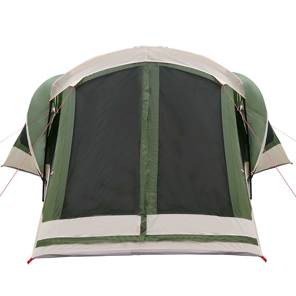 vidaXL Gezinstent Groen 550 x 555 x 208 cm