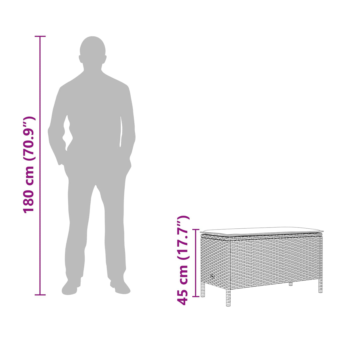 vidaXL Tuinvoetenbank met kussen Zwart 80 x 38 x 45 cm PE Rattan