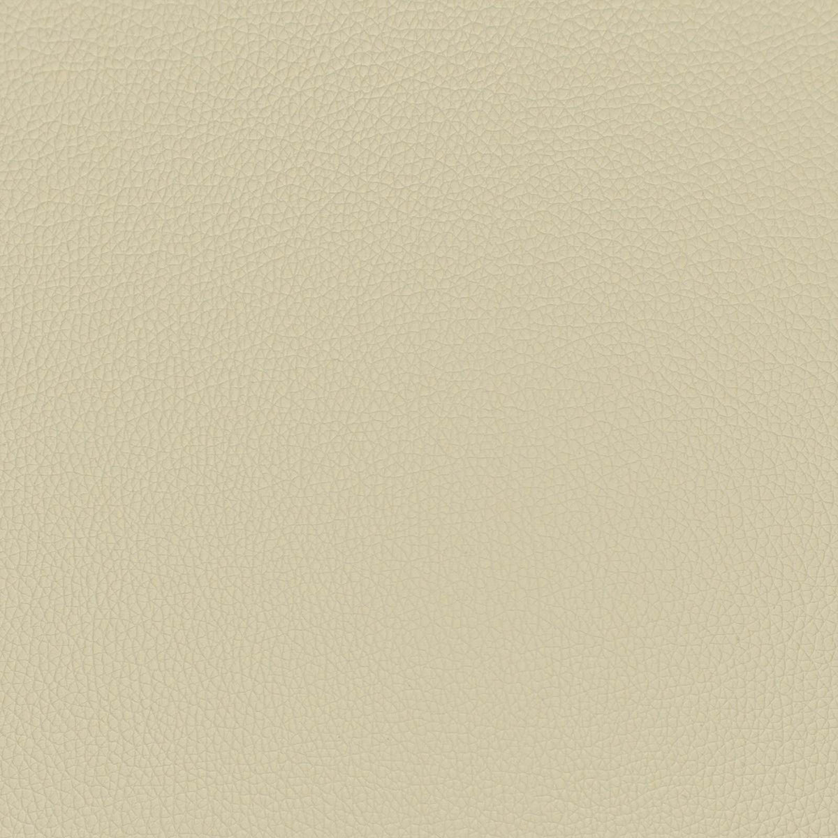 vidaXL Vloerstoel Crème 50 x 73 x 60 cm Nep Leer