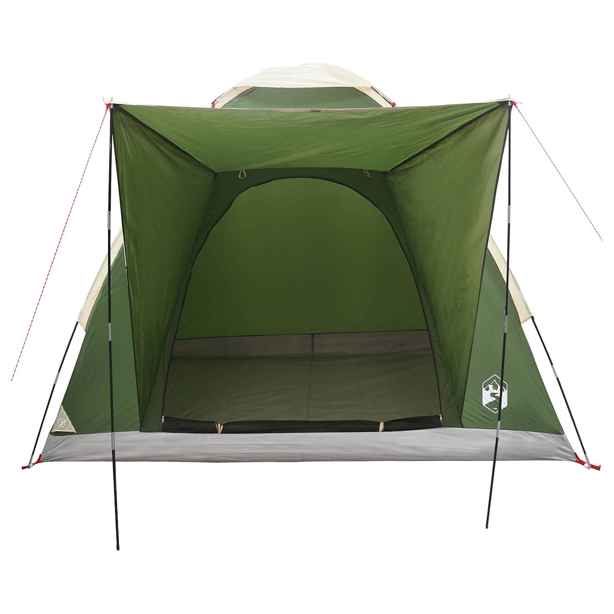 vidaXL Kamperen tent met dak Groen 2-persoons Polyester en staal