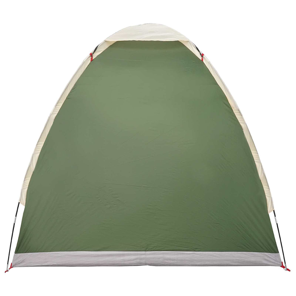 vidaXL Kamperen tent met dak Groen 2-persoons Polyester en staal