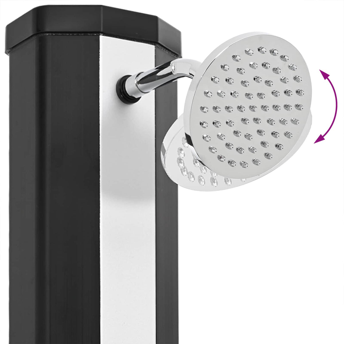 vidaXL Zonnedouche met douchekop en kraan 40 L, zwart en zilver