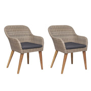 vidaXL Tuinstoelen 2 st met kussens poly rattan bruin - Aashly