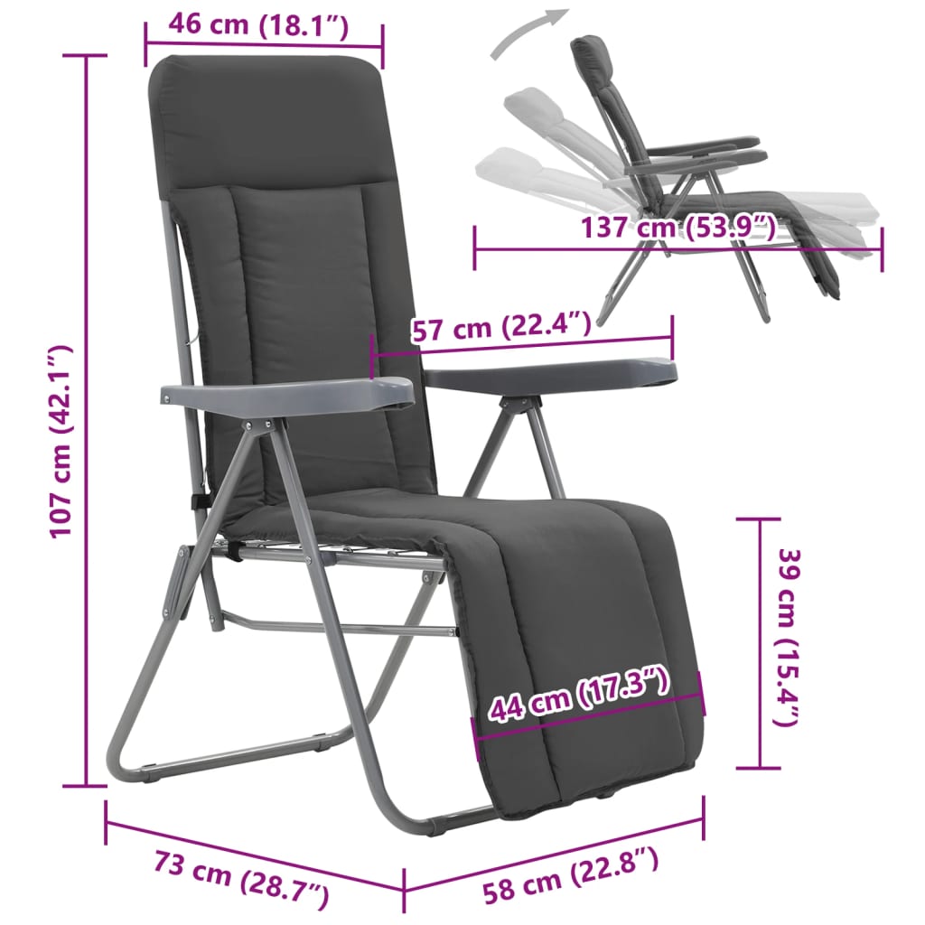 vidaXL Tuinstoelen met kussen inklapbaar 2 st grijs - Aashly