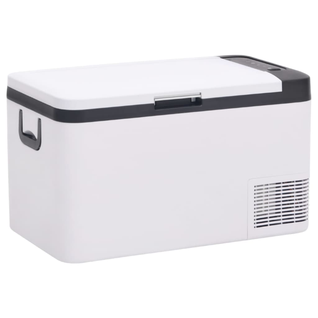 vidaXL Koelbox met handvat 25 L PP & PE zwart en wit - Aashly