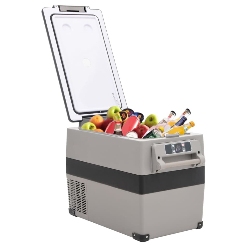 vidaXL Koelbox met handvat 55 L PP & PE zwart en grijs - Aashly