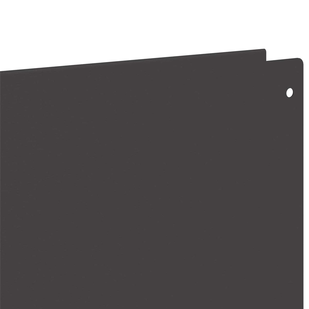 vidaXL Gazonrand 10 pcs 100 x 12 cm Staal Antracietkleurig