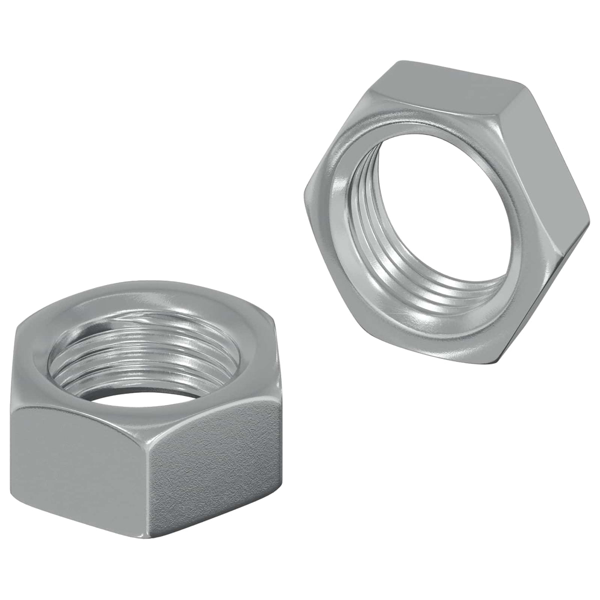 vidaXL Zeshoekige Moeren 2 pcs Zilver M6 Staal