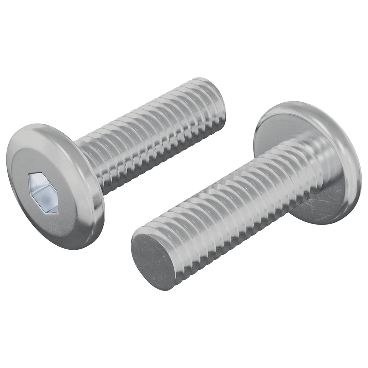 vidaXL Bout 2 pcs Zilver 8 x 25 mm Staal