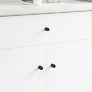 vidaXL Kastknoppen 2 pcs Zwart M4 x 12 mm IJzer