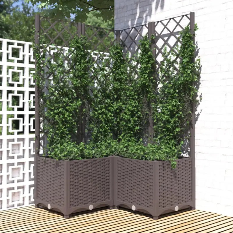 Bloempot met latwerk voor klimplanten in tuin of terras - Bruin / 80 x 80 x 136 cm / 1 - Bloempotten & plantenbakken
