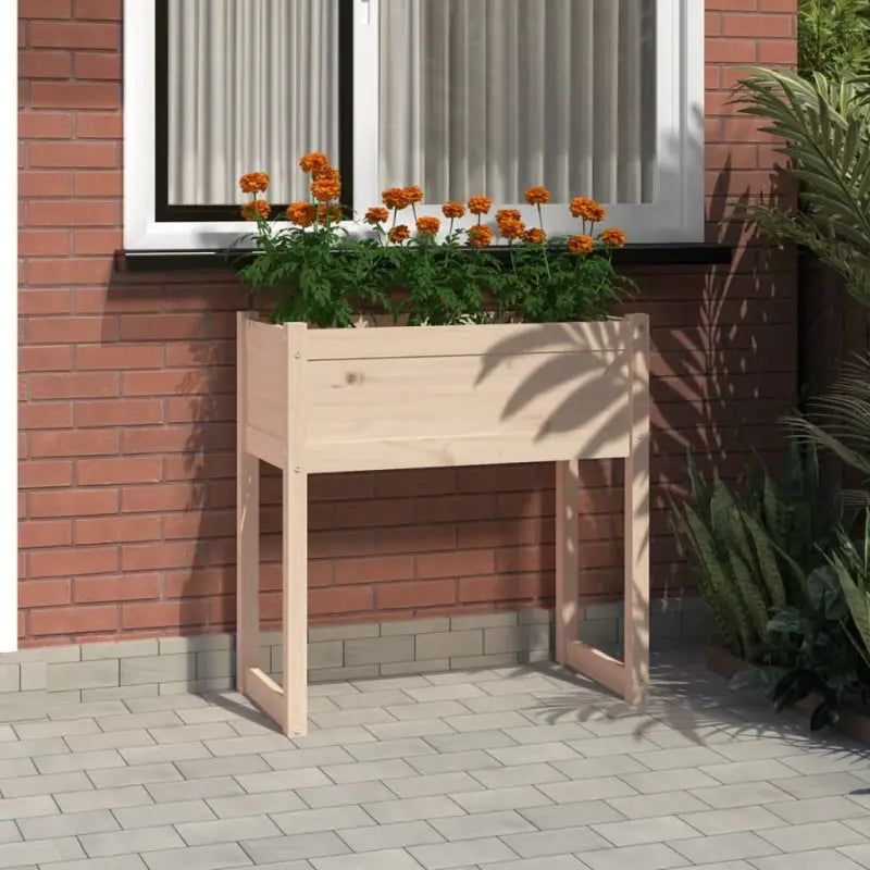 Bloempot of plantenbak van massief grenenhout voor tuin en balkon - Naturel / 1 - Bloempotten & plantenbakken