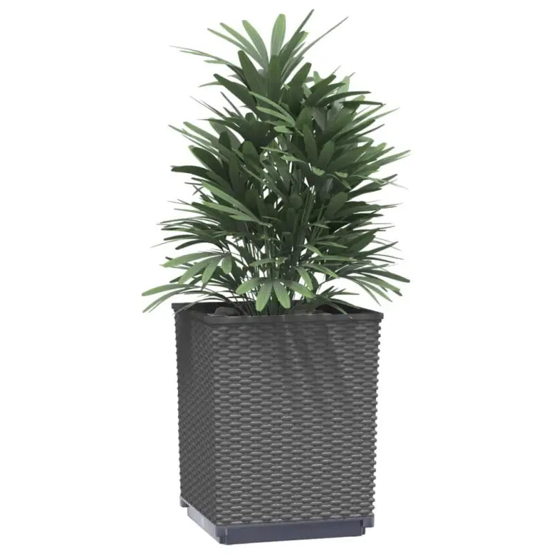 Bloempotten en plantenbakken voor tuin balkon en terras - Bloempotten & plantenbakken
