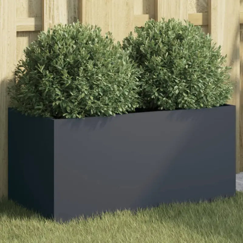 Cortenstalen plantenbakken voor tuin balkon en terras - Staal/Antracietkleurig / 62 x 30 x 29 cm / 1 - Bloempotten &