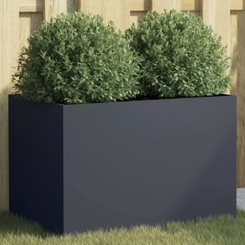 Cortenstalen plantenbakken voor tuin balkon en terras - Staal/Antracietkleurig / 62 x 40 x 39 cm / 1 - Bloempotten &