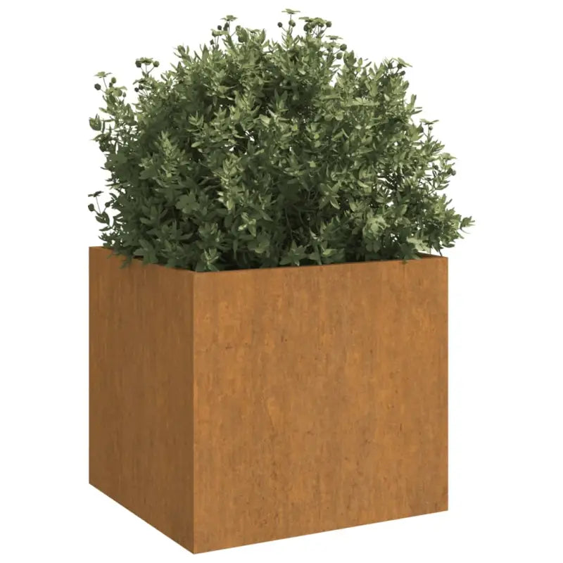 Cortenstalen plantenbakken voor tuin balkon en terras - Bloempotten & plantenbakken