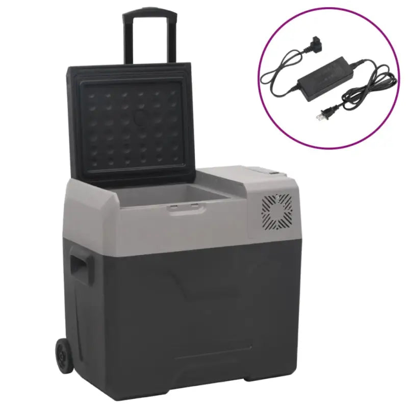 Draagbare koelbox voor verse voeding en koude dranken - 30 l / met adapter - Koelers