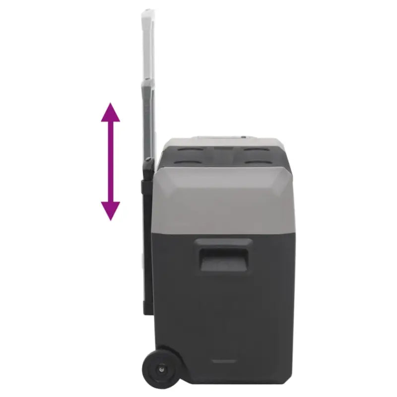 Draagbare koelbox voor verse voeding en koude dranken - Koelers