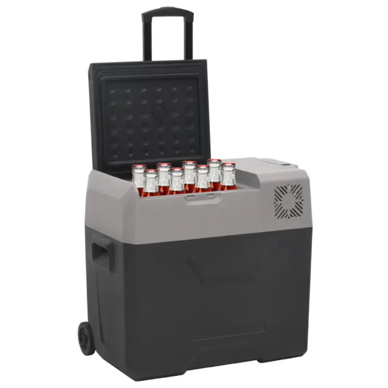 Draagbare koelbox voor verse voeding en koude dranken - Koelers