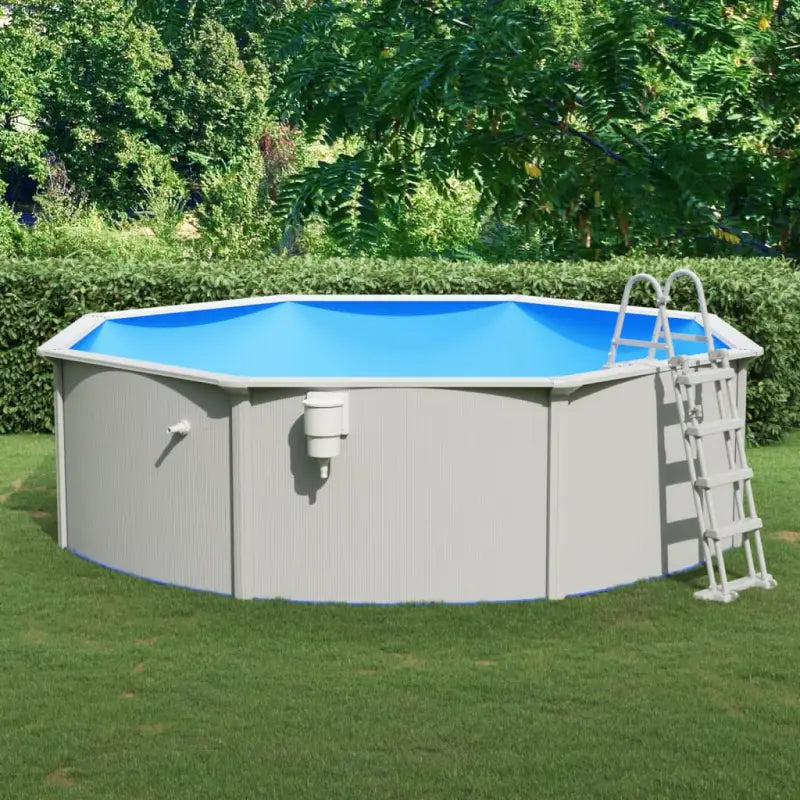 Duurzaam zwembad met stalen wanden voor tuinplezier - Ø 460 x 120 cm / Zwembad + ladder - Zwembaden