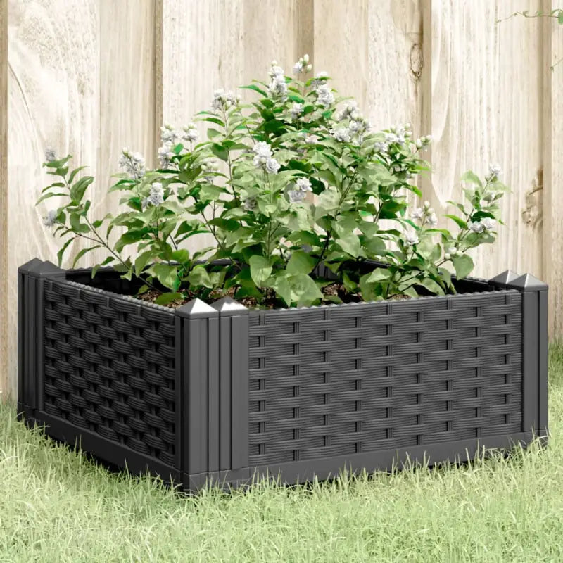 Duurzame bloempotten en plantenbakken voor je tuin of keukenruimte - Zwart / 42,5 x 42,5 x 28,5 cm / 1 - Bloempotten &