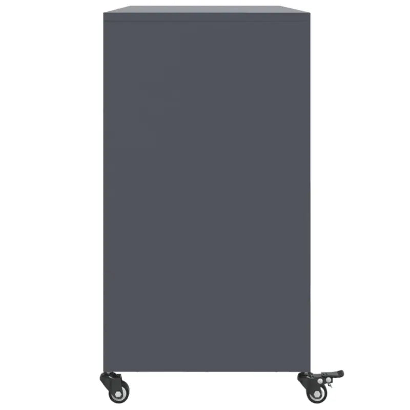 Elegante stalen dressoir voor een moderne uitstraling - Dressoirs & buffetkasten