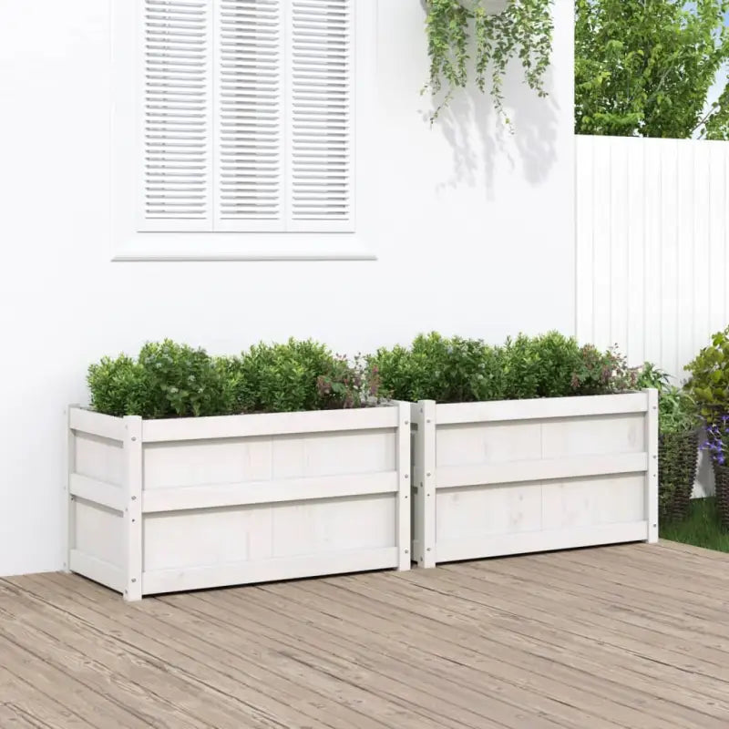 Houten bloempotten en plantenbakken van massief grenenhout - Wit / 2 - Bloempotten & plantenbakken
