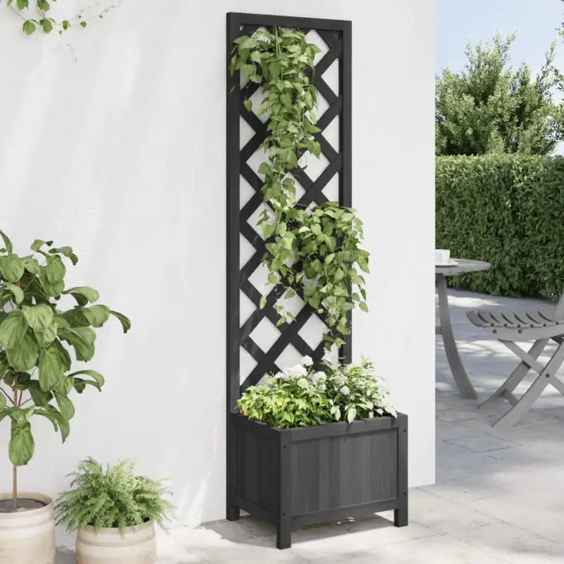 Houten plantenbak met klimrek van massief vurenhout voor buiten - Zwart / 40 x 30 x 135 cm / 1 - Bloempotten &