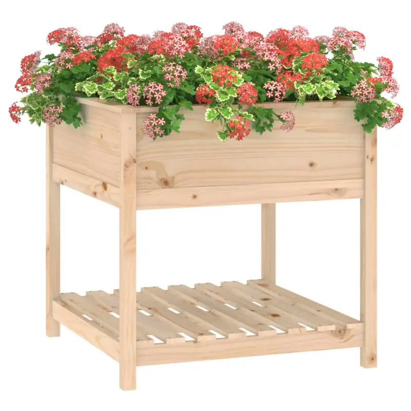 Houten plantenbak van massief grenenhout voor binnen en buiten - Bloempotten & plantenbakken