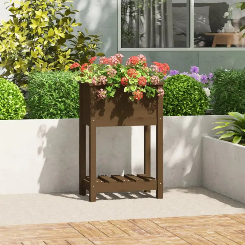 Houten plantenbak van massief grenenhout voor binnen en buiten - Honingbruin / 54 x 34.5 x 81 cm / 1 - Bloempotten &