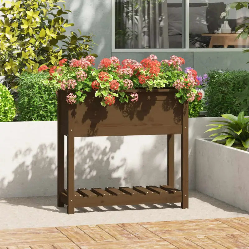 Houten plantenbak van massief grenenhout voor binnen en buiten - Honingbruin / 82.5 x 34.5 x 81 cm / 1 - Bloempotten &