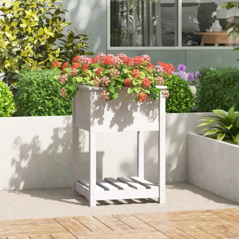 Houten plantenbak van massief grenenhout voor binnen en buiten - Wit / 55 x 54 x 81 cm / 1 - Bloempotten & plantenbakken